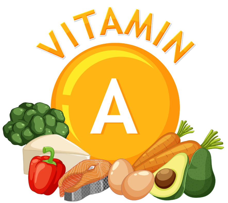 Vitamin A- Women's Health